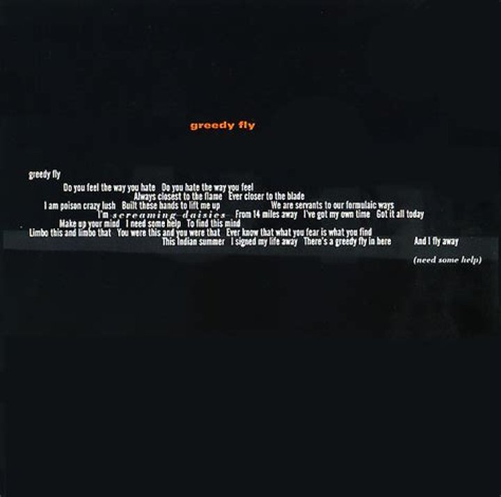 Bush’s
Greedy fly Lyrics