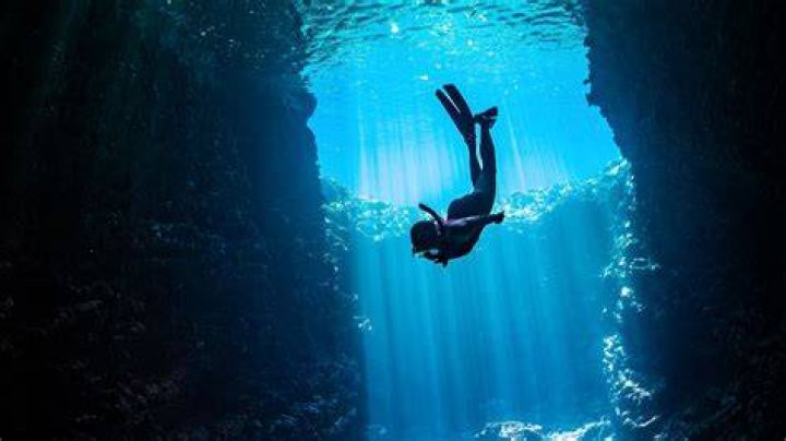 Dive Into The World Of Gabriela Berlingeri's Height: Discoveries And Insights