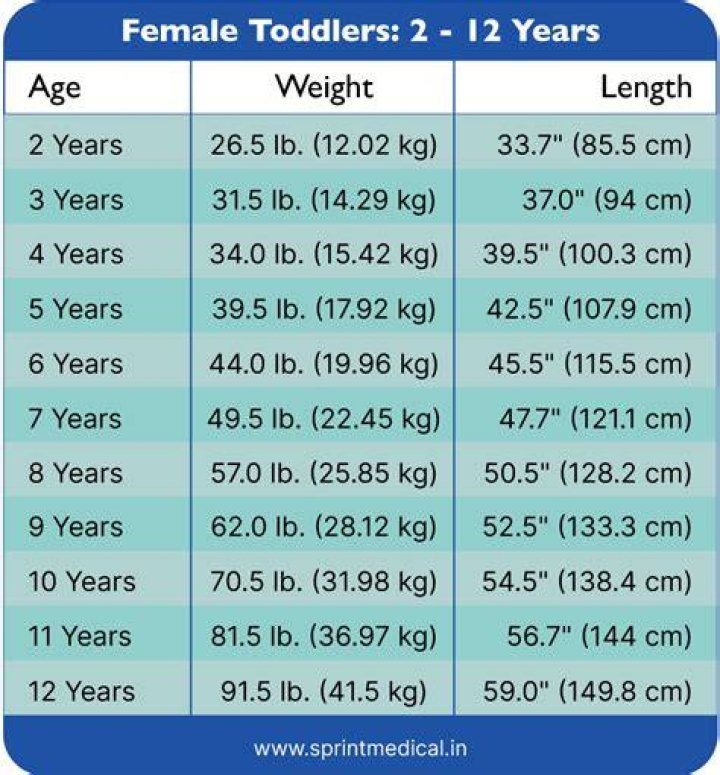 Height, Weight, Age, Spouse, Family Uncovered