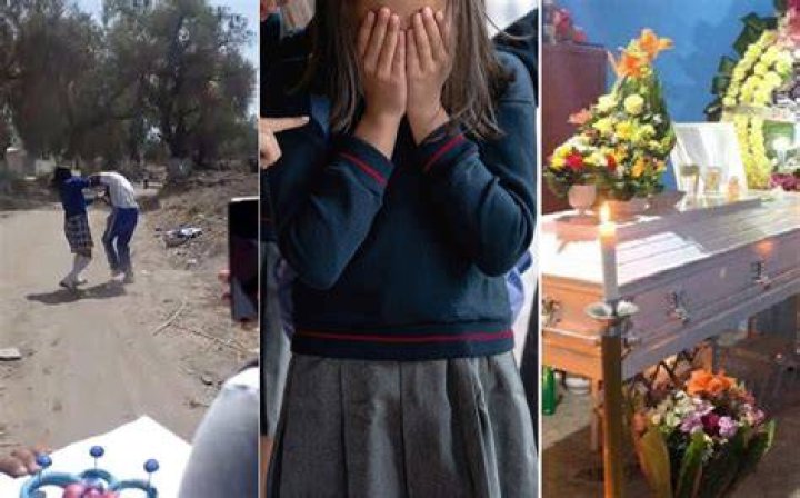 Insights Into The "Norma Lizbeth Bullying Video Viral"