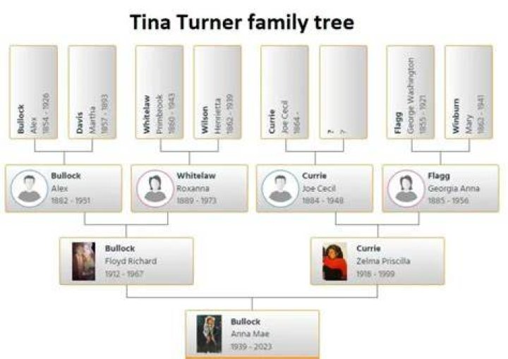Is Nischelle Turner Related To Tina Turner? Family Tree And Net Worth