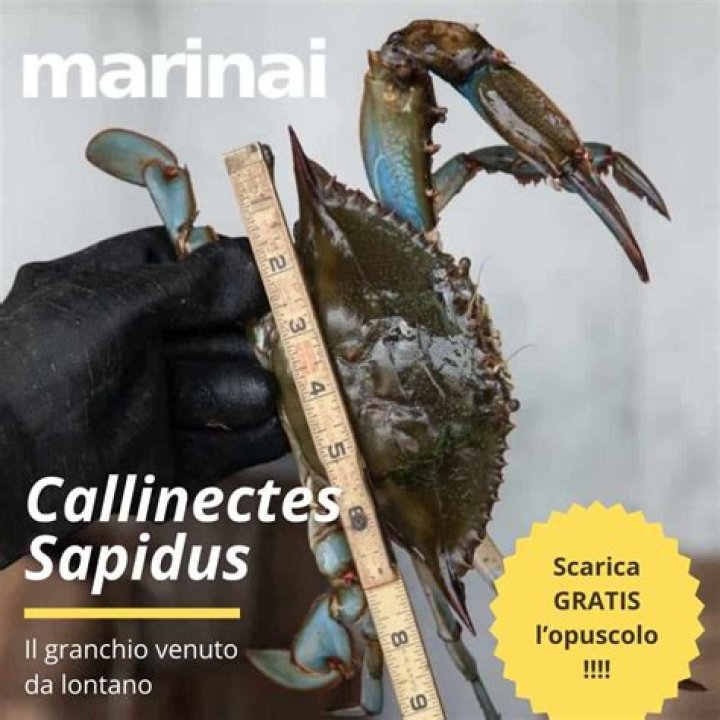 Marin Cacic Cause Of Death