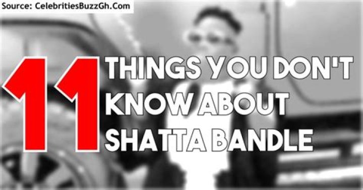 Shatta Bandle Biography & Net Worth