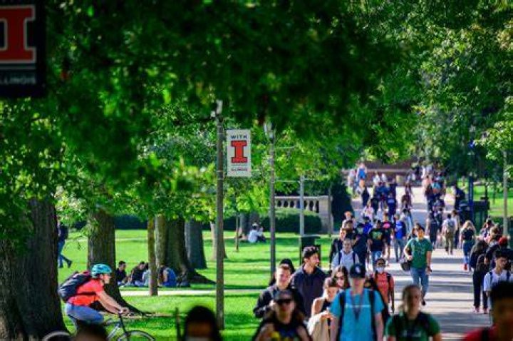Unlocking The Complexities Of UIUC Student Deaths: Discoveries And Insights