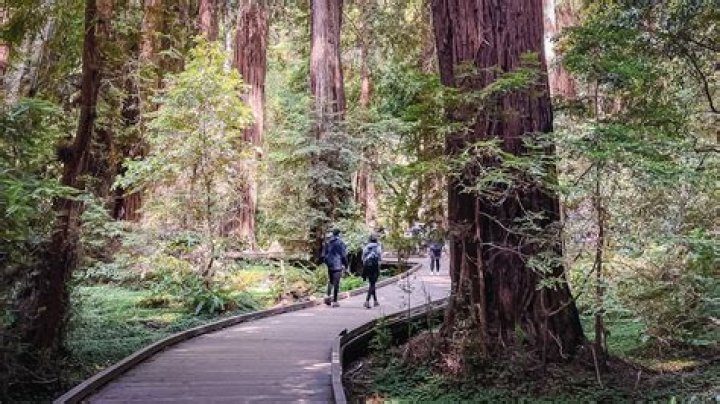 Was star wars filmed in muir woods