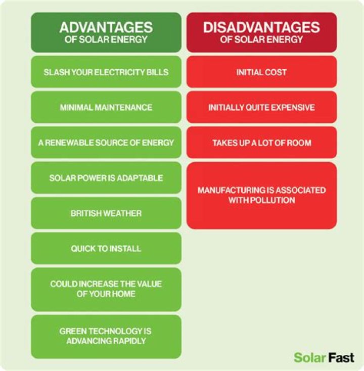 What are the advantages and disadvantages of undergoing metamorphosis