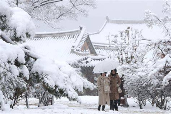 What does the first snow mean in korean