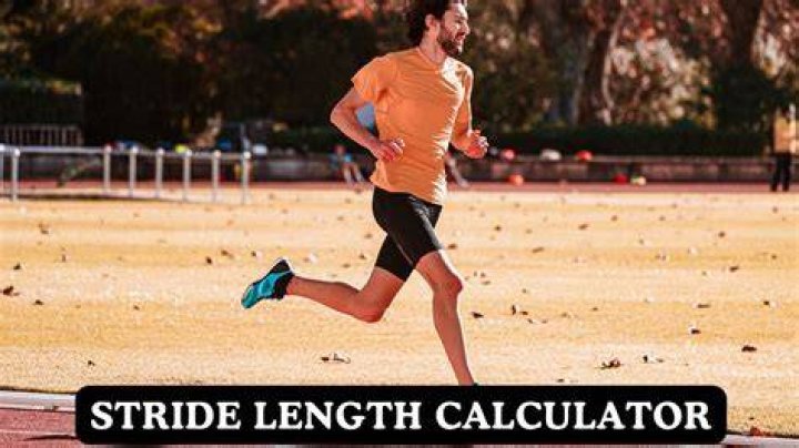 What is the average stride length for a 5 10 man