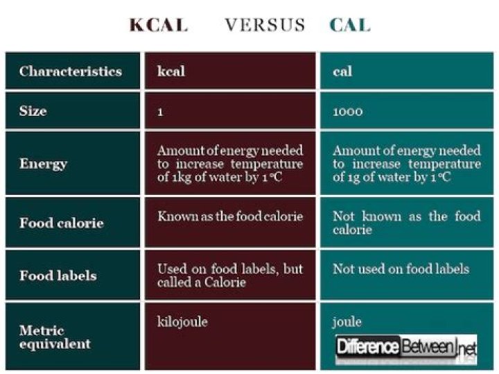 What is the Difference Between Kcal and Cal