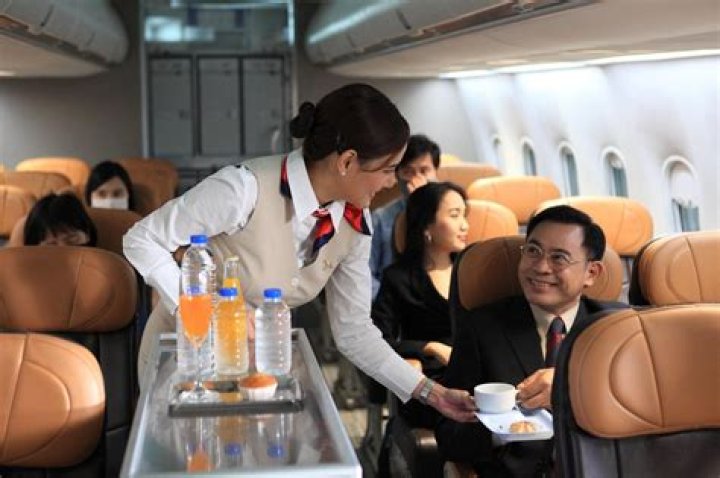 Who Is Kat Kamalani From TikTok? 10 Facts On The Flight Attendant